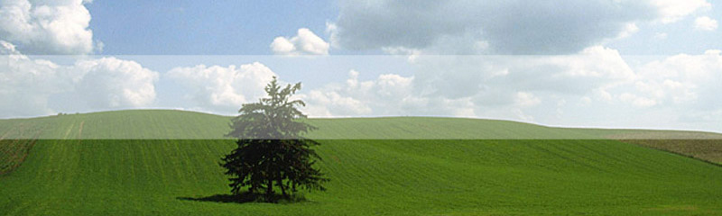 trial17 いまぷら